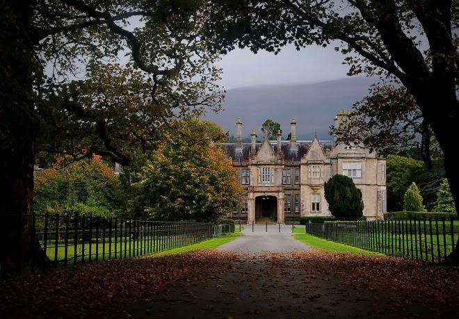 Killarney oaks hotel and wedding venue