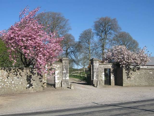 Ash hill b&b