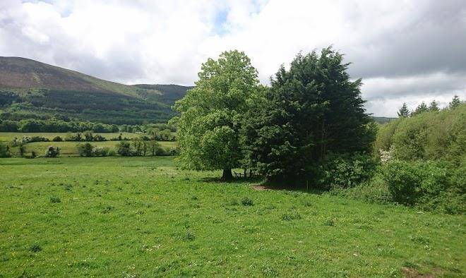 Castleoliver farm