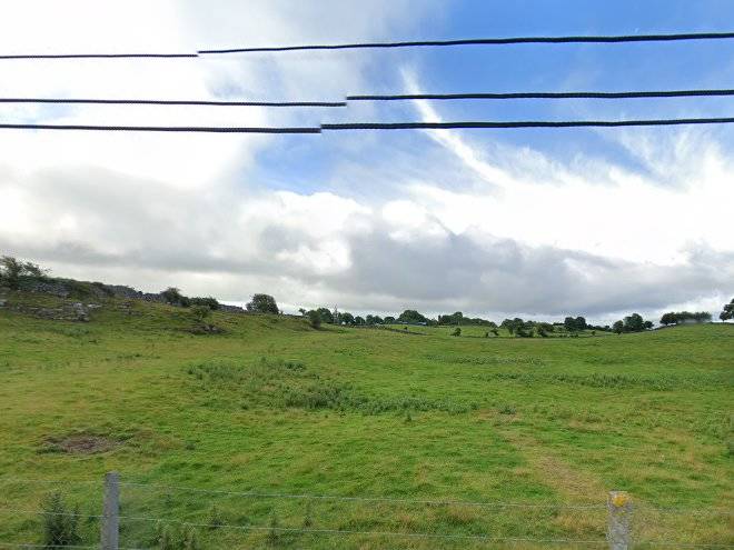 Burke's homestay