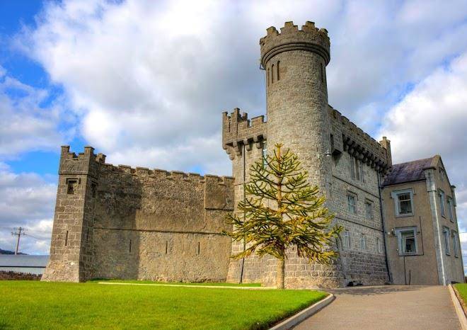 Carrigeen Castle Image