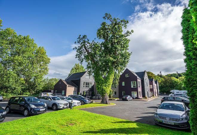 Wilton hotel bray