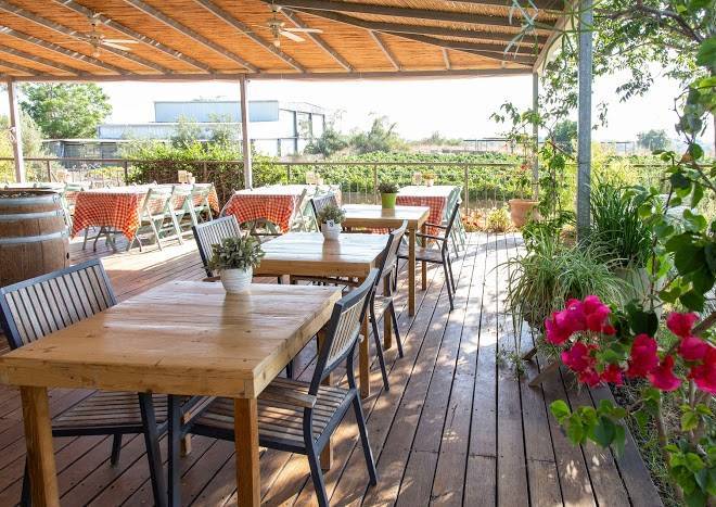Mettler winery