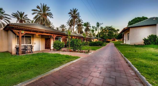 Daria authentic israel experience