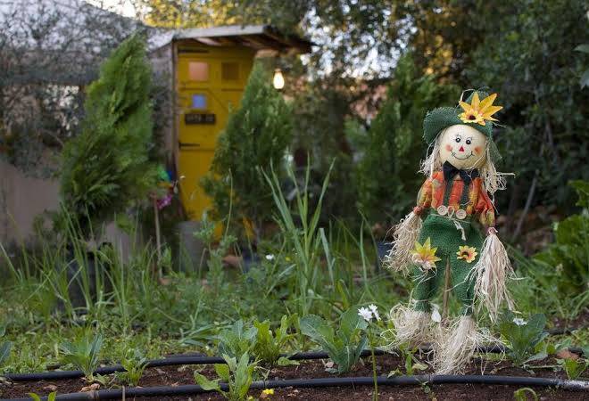 The Yurt In Abirim Image