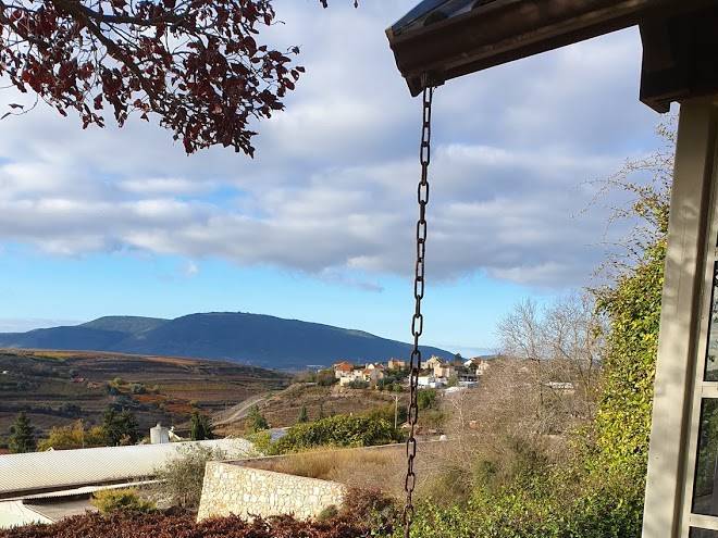 Legend vineyard