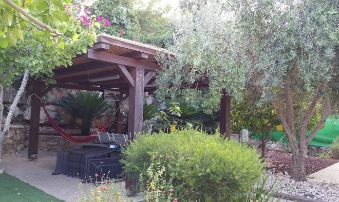 Noam Hamargalit Image