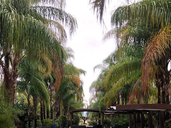 Hotel dreams naphtali