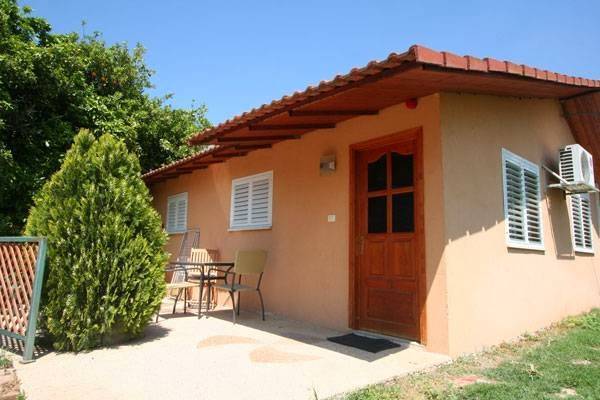 Or Gani Schnabel Image