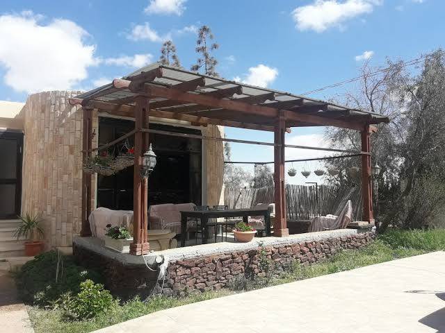 Oasis negev