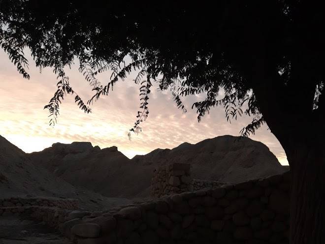 Belfer's dead sea cabins