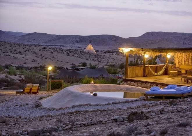 Desert olive farm