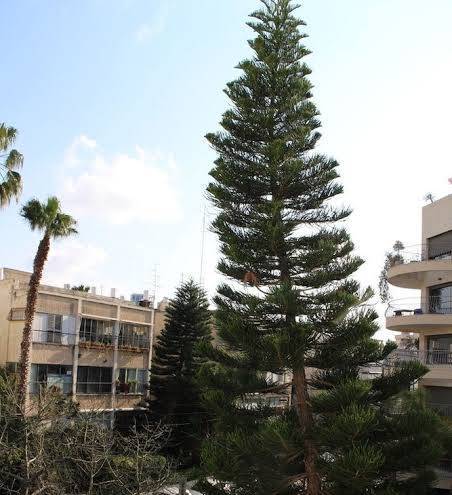 Tlv center by tlv2rent