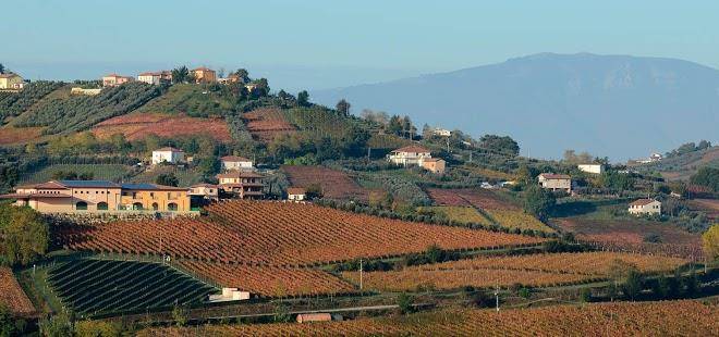 Agricosimo societa agricola