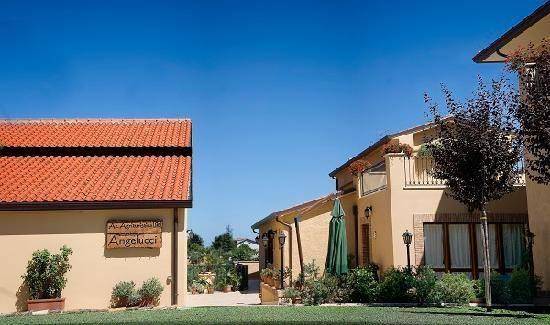 Agriturismo angelucci