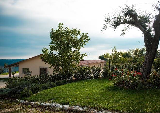 Agriturismo colle tripio
