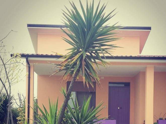 Cielo e terra eco resort