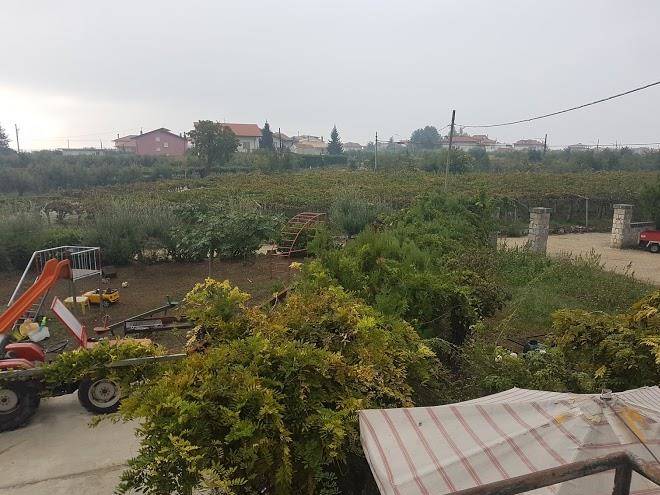 Fattoria zitumasse apicoltura