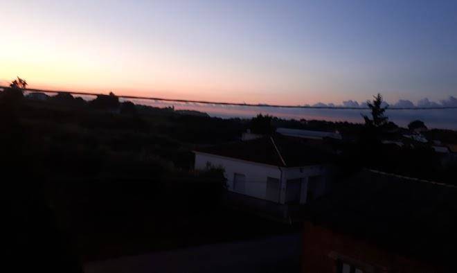 Ii nocciolo 44