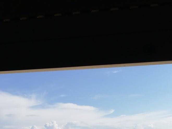 Il giuggiolo verde