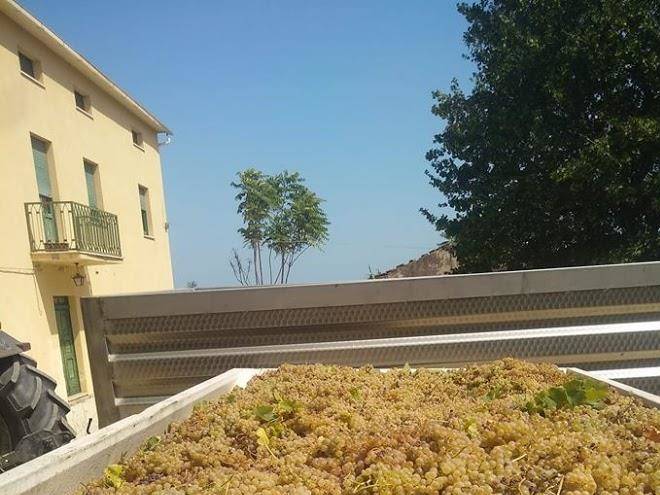 La Collina Degli Allori Image