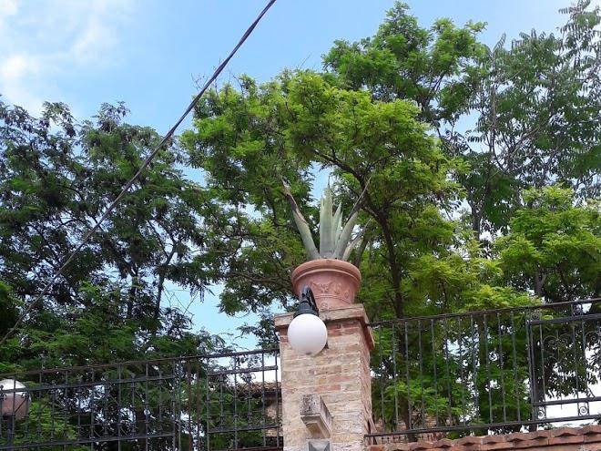 La limonaia