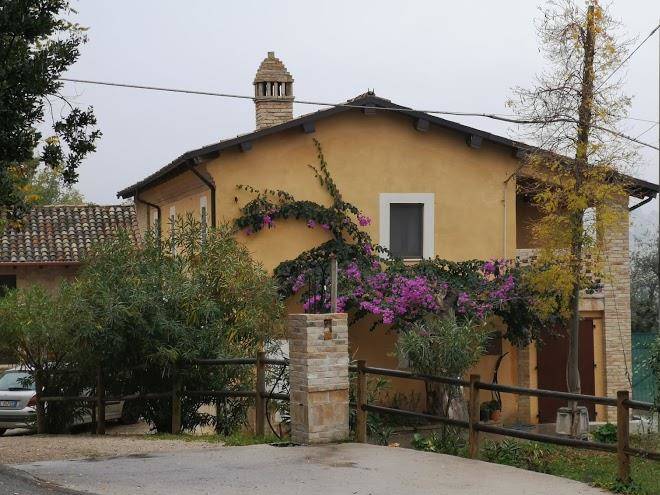 La valle degli ulivi