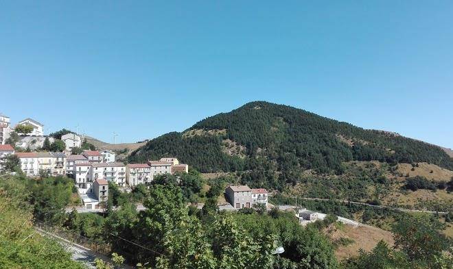 Rifugio del cinghiale