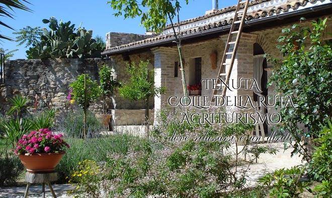 Tenuta Colle Della Ruta Image