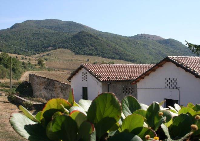 Azienda Agrituristica Il Fortino Image