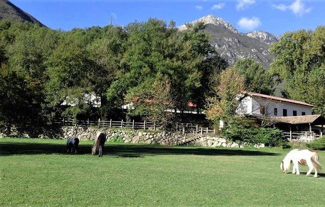 Azienda agrituristica valle del rio di tuzi fabio