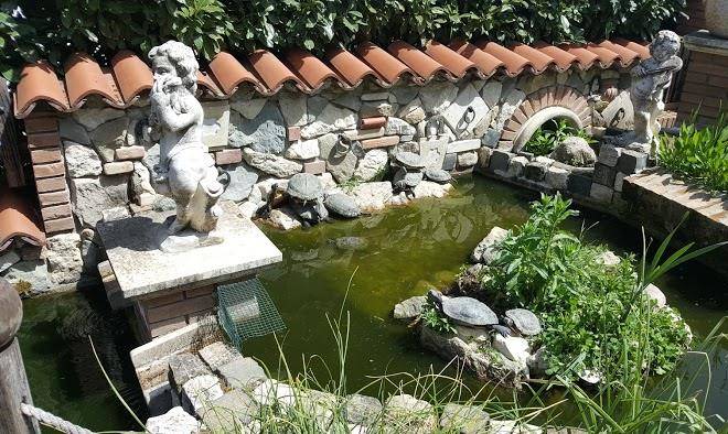 B&b il giardino acquatico