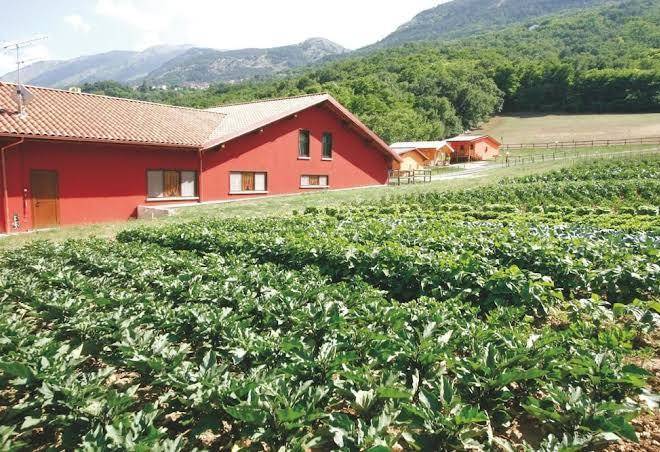 Fattoria antica forconia