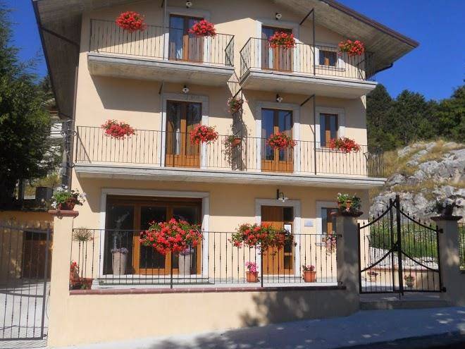 Il Fiore Di Pesco Image