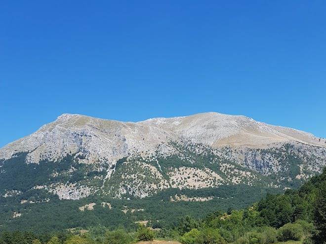 B&b il ghiro