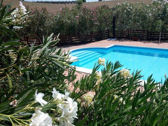 Agriturismo resort fattoria colle luca