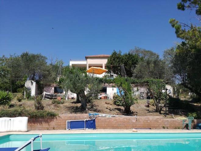 Colle d'olivo