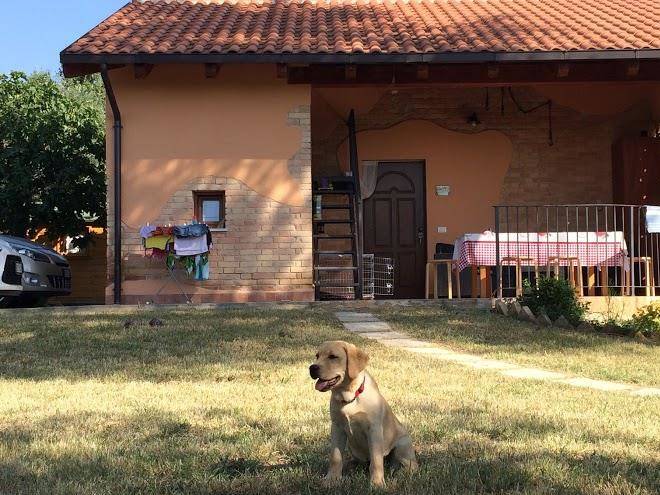 La stalla di nonno zopito