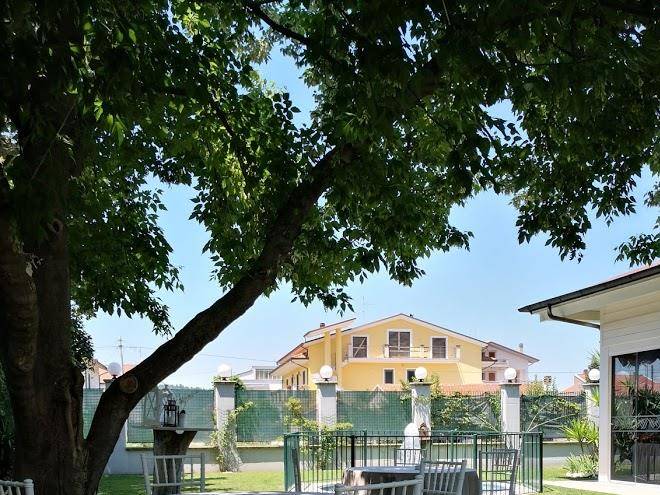 Ristorante ragno d'oro