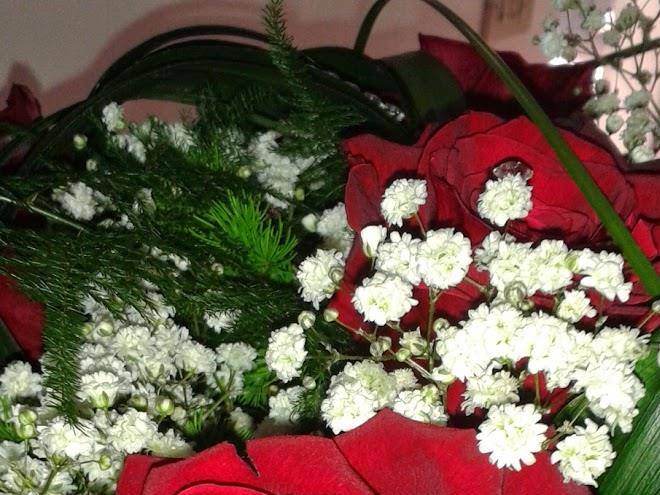 Albergo desiree 2