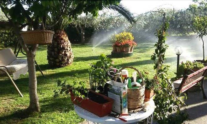 B&b l'albero di antonia