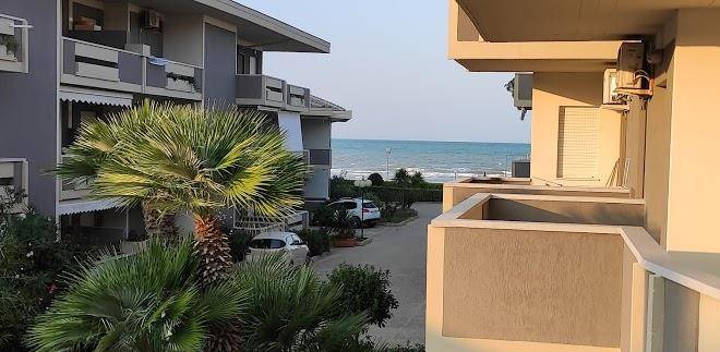 Green Marine 1 Image