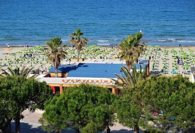Hotel quattro palme
