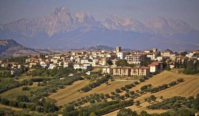 L'orso e l'ape b&b