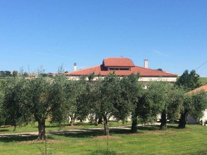 Tenuta morganti