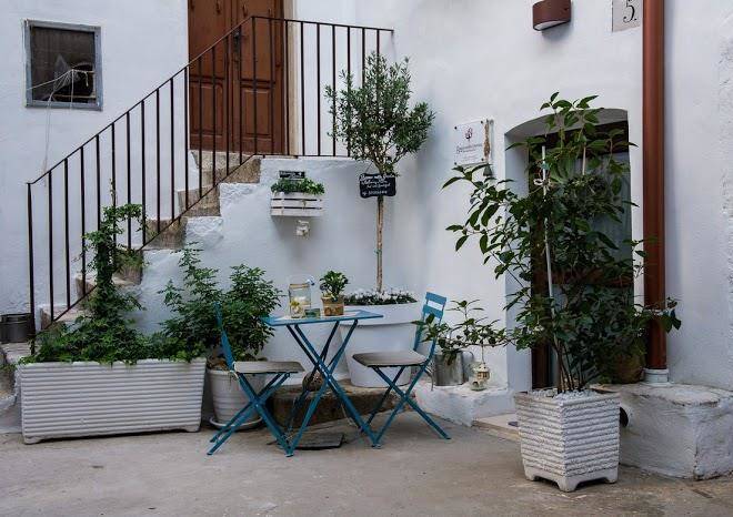 Bacco nella gnostra bio b&b