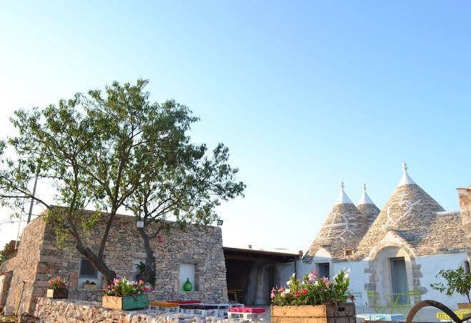 Don diego resort