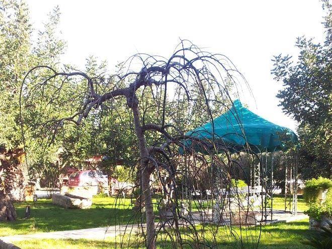 La fattoria del monsignore