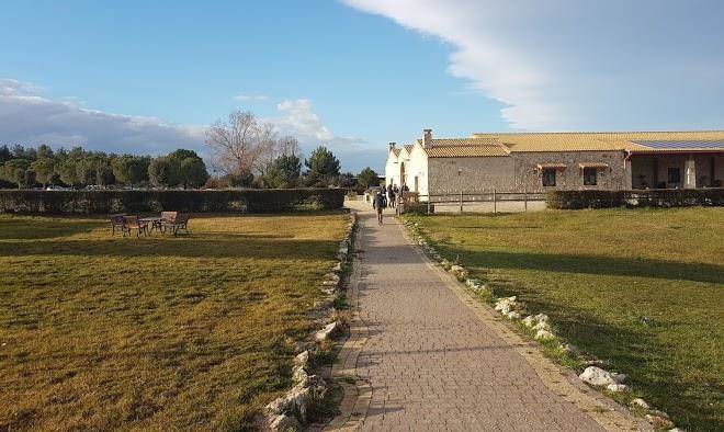 Parco avventura chinunno