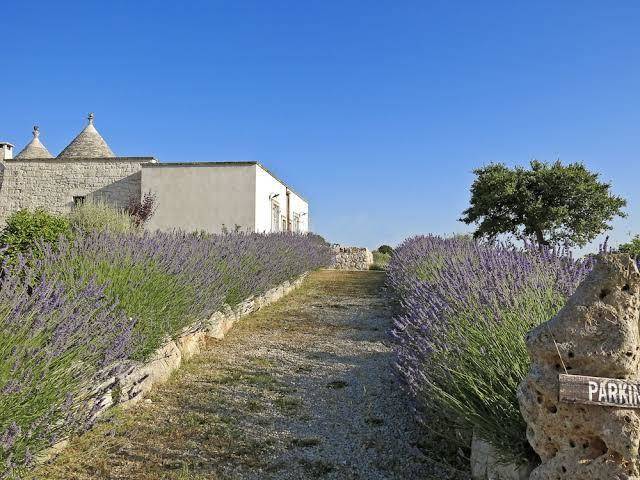Podere Papilio Image